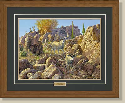 (image for) Sonora Sunrise-Mule Deer by Ron Van Gilder